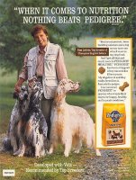 Brasswinds English Setters and English Cockers