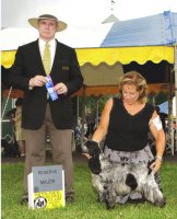 Brasswinds English Cockers 