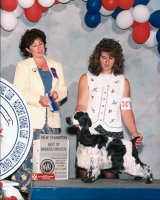 Brasswinds English Setters and English Cockers