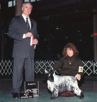Brasswinds English Setters and English Cockers