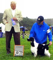 Brasswinds English Setters and English Cockers