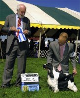 Brasswinds English Setters and English Cockers