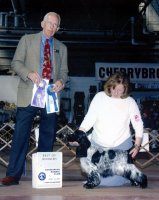 Brasswinds English Setters and English Cockers