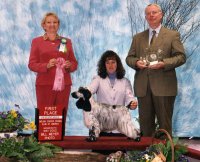 Brasswinds English Setters and English Cockers