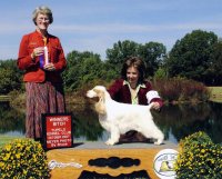 Brasswinds English Setters and English Cockers