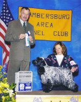 Brasswinds English Setters and English Cockers