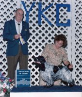 Brasswinds English Setters and English Cockers