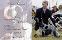 Brasswinds English Setters and English Cockers