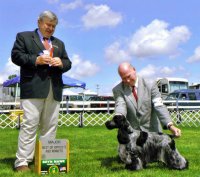 Brasswinds English Setters and English Cockers