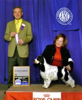Brasswinds English Setters and English Cockers