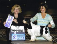 Brasswinds English Setters and English Cockers