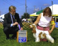Brasswinds English Setters and English Cocker