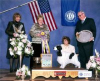 Brasswinds English Setters and English Cockers
