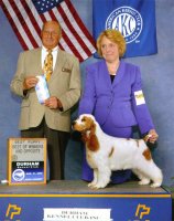 Brasswinds English Setters and English Cockers