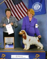 Brasswinds English Setters and English Cockers