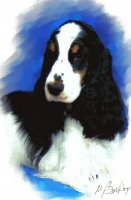 Brasswinds English Setters and English Cockers