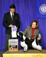Brasswinds English Setters and English Cockers