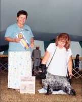 Brasswinds English Setters and English Cockers