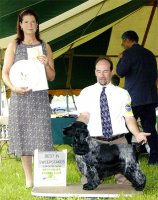 Brasswinds English Setters and English Cockers