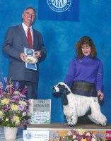 Brasswinds English Setters and English Cockers