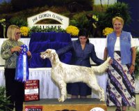 Brasswinds English Setters and English Cockers