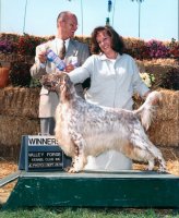 Brasswinds English Setters and English Cockers