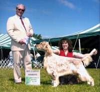 Brasswinds English Setters and English Cockers