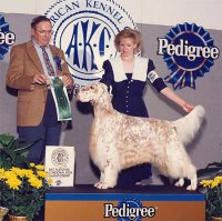 Brasswinds English Setters and English Cockers