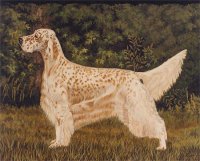 Brasswinds English Setters and English Cockers