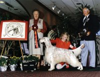 Brasswinds English Setters and English Cockers