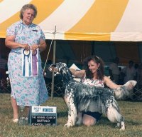 Brasswinds English Setters and English Cockers