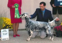 Brasswinds English Setters and English Cockers