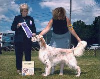 Brasswinds English Setters and English Cockers