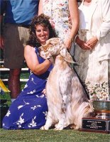 Brasswinds English Setters and English Cockers
