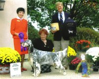 Brasswinds English Setters and English Cockers