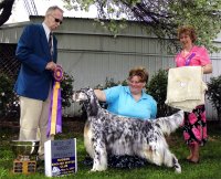 Brasswinds English Setters and English Cockers