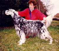 Brasswinds English Setters and English Cockers