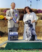 Brasswinds English Setters and English Cockers