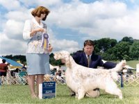 Brasswinds English Setters and English Cockers
