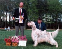 Brasswinds English Setters and English Cockers