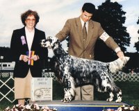 Brasswinds English Setters and English Cockers