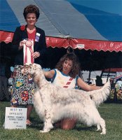 Brasswinds English Setters and English Cockers